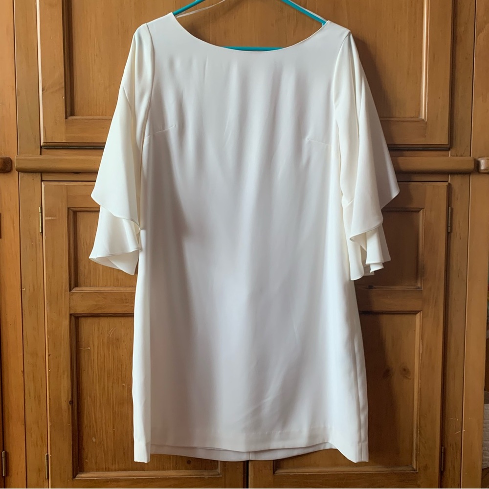 Cynthia Steffe Dress with Flared Sleeves